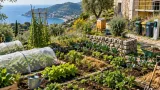 Dans les Alpes-Maritimes, les microfermes bio veulent reconquérir les petites parcelles