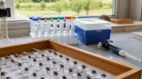 Toulouse : une base ADN et naturaliste couvre 94 % des abeilles françaises pour mieux les protéger