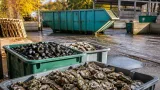 En Mayenne, sept déchetteries collectent les coquillages jusqu’au 9 janvier