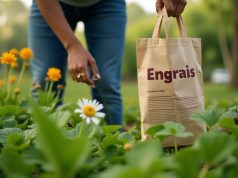 Vous utilisez cet engrais sans savoir qu’il tue la biodiversité de votre sol Vous utilisez cet engrais sans savoir qu’il tue la biodiversité de votre sol