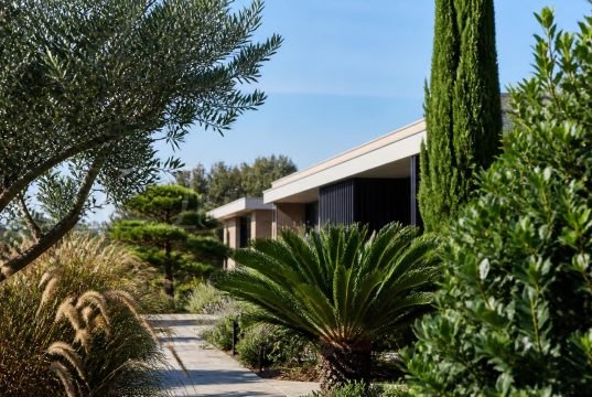 Arbres décoratifs persistants : lesquels choisir pour l’extérieur ? Arbres décoratifs persistants : lesquels choisir pour l'extérieur ?