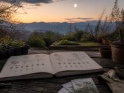 Calendrier lunaire pour semer en 2026 : guide pratique Calendrier lunaire pour semer en 2026 : guide pratique