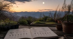 Calendrier lunaire pour semer en 2026 : guide pratique Calendrier lunaire pour semer en 2026 : guide pratique