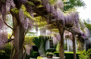 Fabriquer une pergola pour glycine : guide solide et complet Fabriquer une pergola pour glycine : guide solide et complet