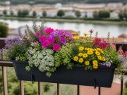 Fleurs pour jardinière fleurie toute l’année : 25 idées Fleurs pour jardinière fleurie toute l'année : 25 idées