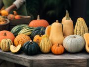 Les différents types de courges : guide des variétés Les différents types de courges : guide des variétés