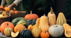 Les différents types de courges : guide des variétés Les différents types de courges : guide des variétés