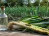 Vinaigre blanc contre le ver du poireau : efficace vraiment ? Vinaigre blanc contre le ver du poireau : efficace vraiment ?