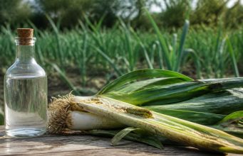 Vinaigre blanc contre le ver du poireau : efficace vraiment ? Vinaigre blanc contre le ver du poireau : efficace vraiment ?