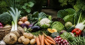 Les légumes de septembre : liste complète par famille Les légumes de septembre : liste complète par famille